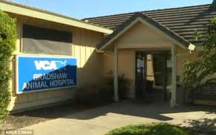 Hometown Care at VCA Bradshaw Animal Hospital. VCA Bradshaw Animal Hospital is a general practice veterinary facility located in Elk Grove and serving the nearby communities, such as Sacramento, Galt and …